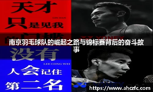 南宫NG·28