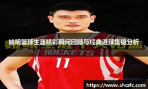 南宫NG·28